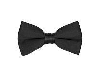 Bow Tie